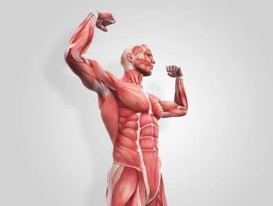 A man is demonstrating his well-toned muscles on a gray background.