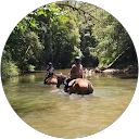 Gemma Santovito profile picture